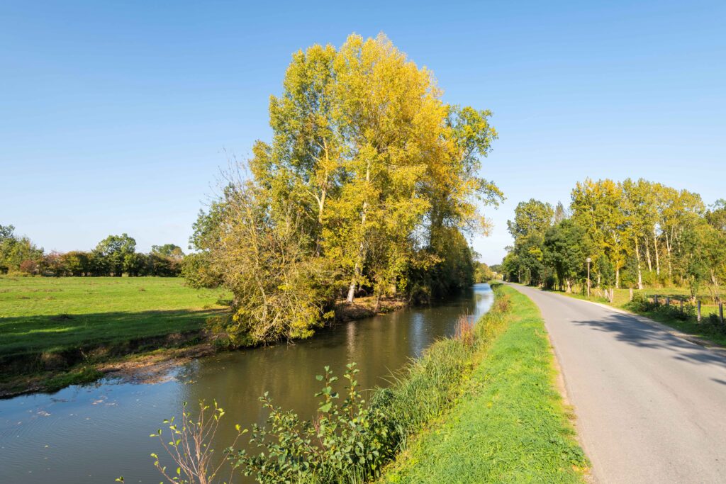 Accès Camping Le Marais Sauvage