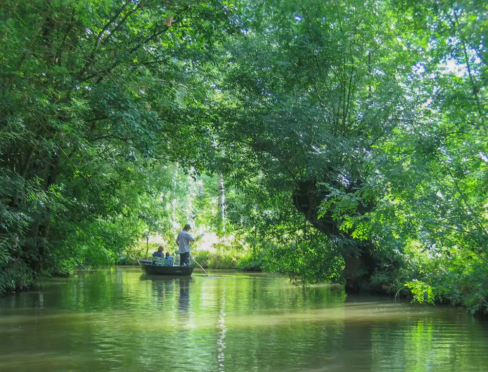balade bateau marai poitevin