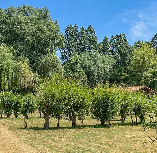 Camping ACSI Vendée