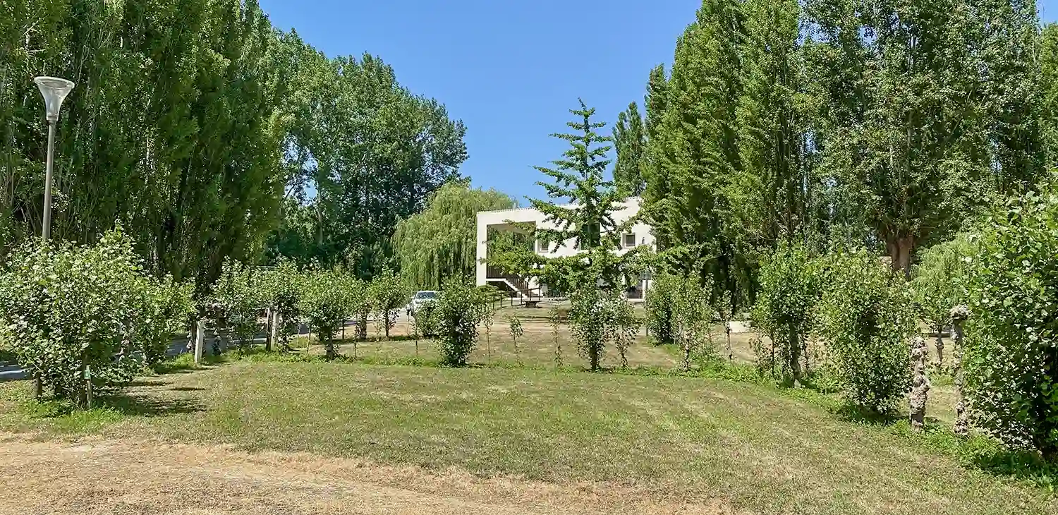 pitch marais sauvage
