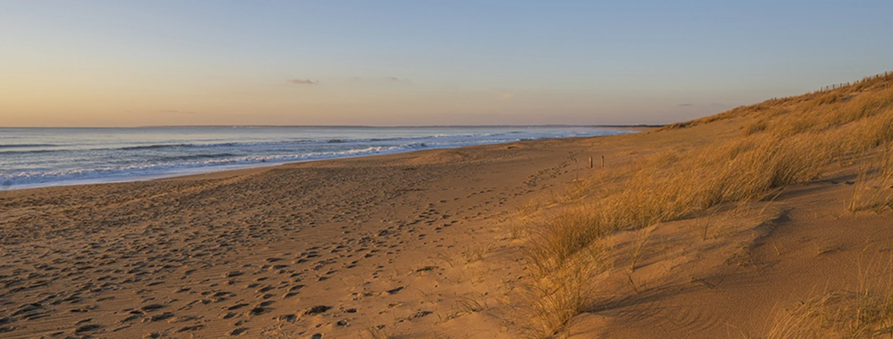 plage terriere
