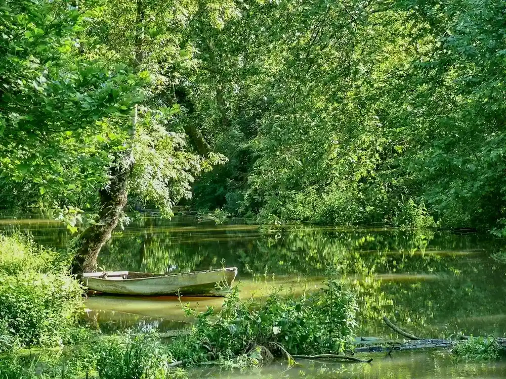 visite marais poitevin