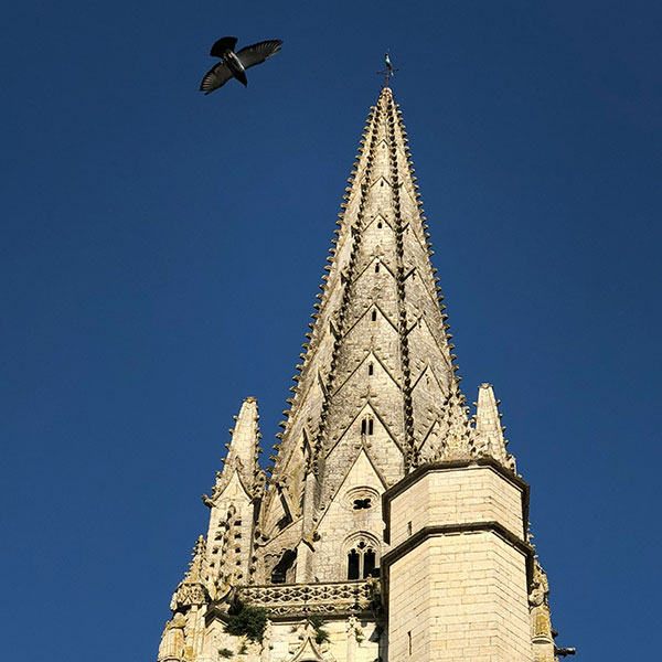 tour niort