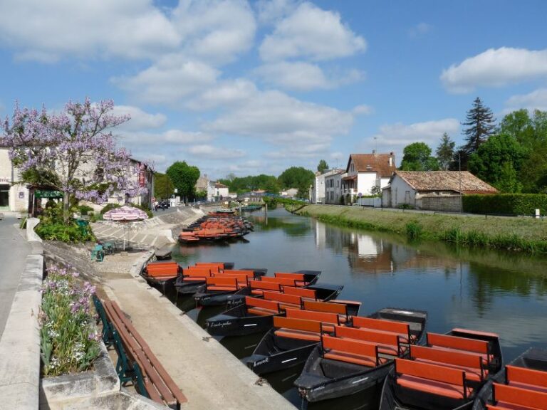 camping coulon