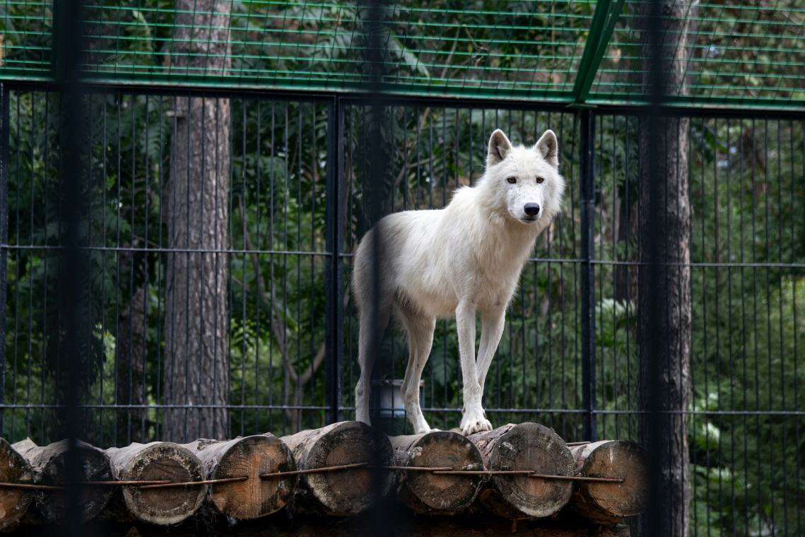 visite du Zoodyssée