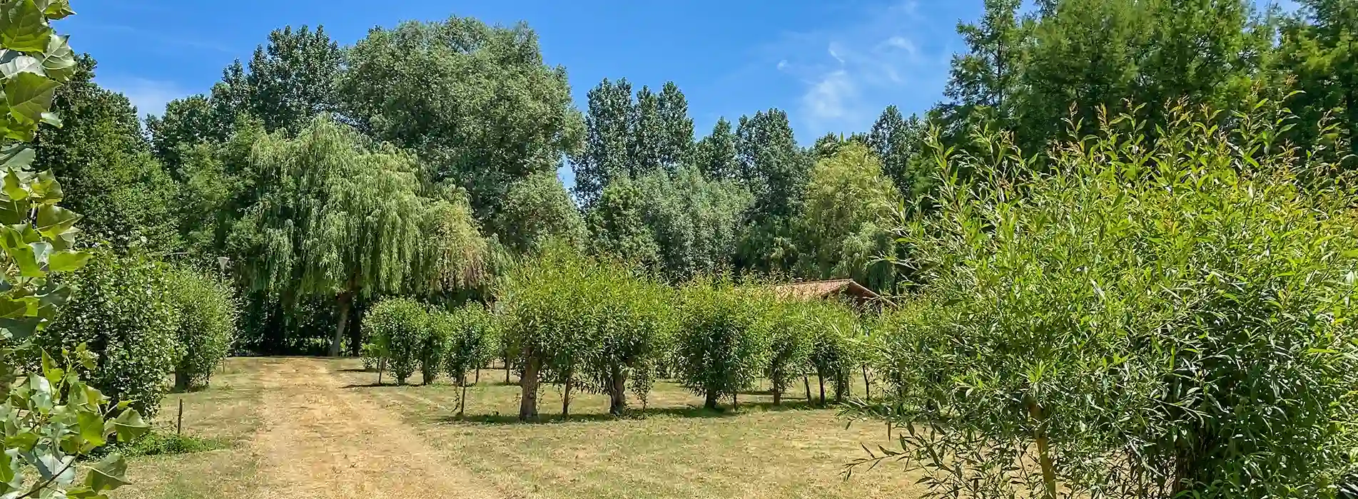 camping sans animations