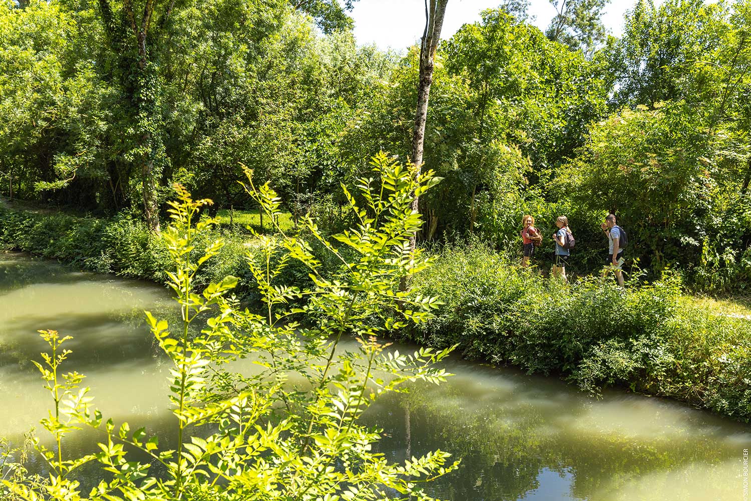 logement insolite marais poitevin