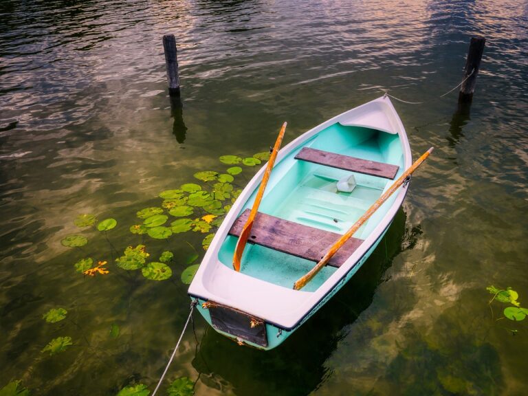 Une barque amarrée dans les eaux calmes du Marais Poitevin, entourée de nénuphars et prête pour une excursion paisible.