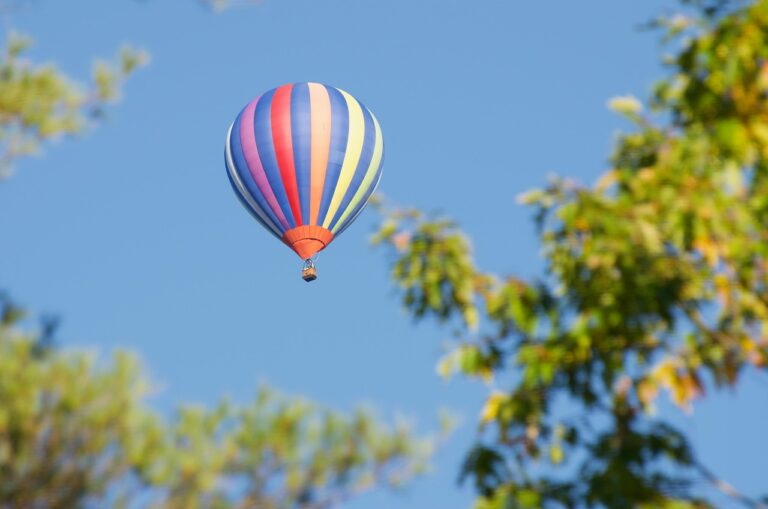 Une montgolfière aux couleurs vives flotte paisiblement dans un ciel bleu clair, entourée de quelques branches d'arbres verdoyantes.