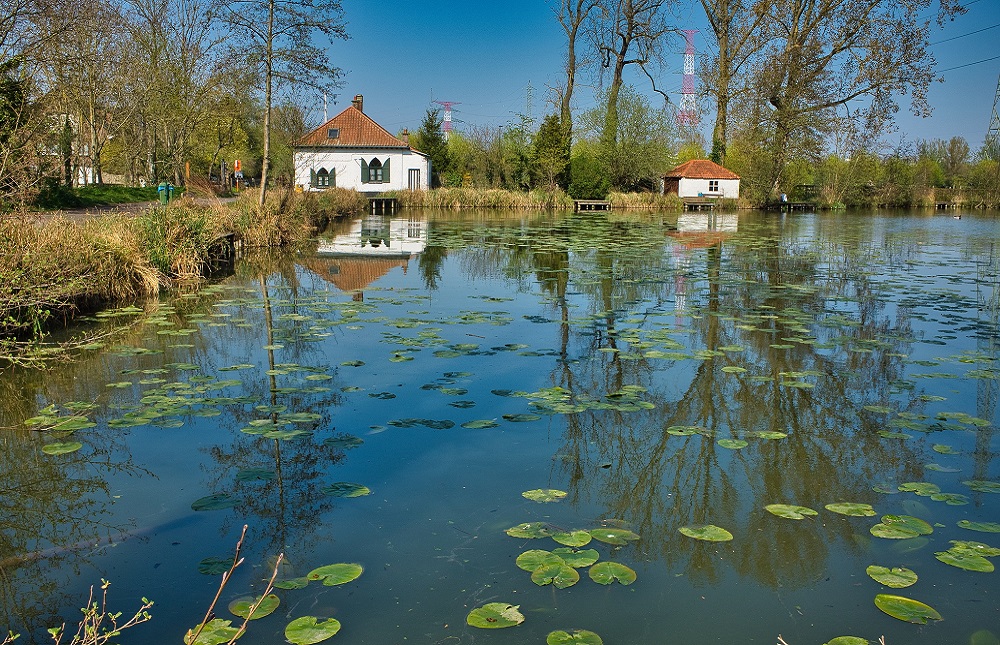 1 jour au marais poitevin