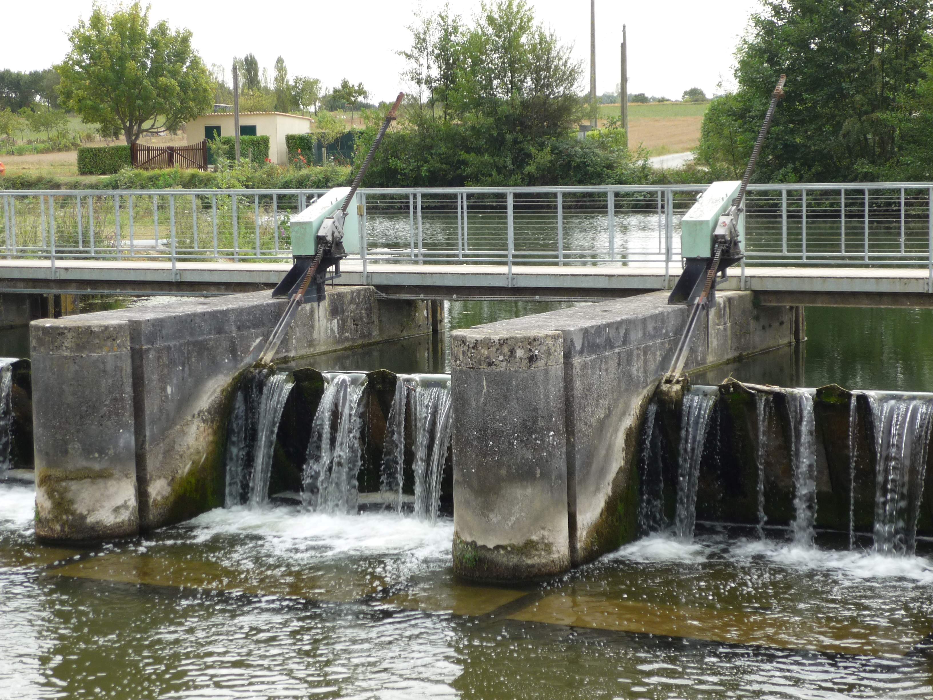 ecluse de marais pin magne