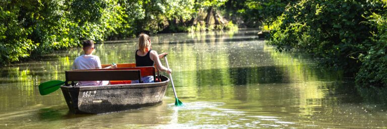 marais poitevin embarcadere le mazeau paysage bd