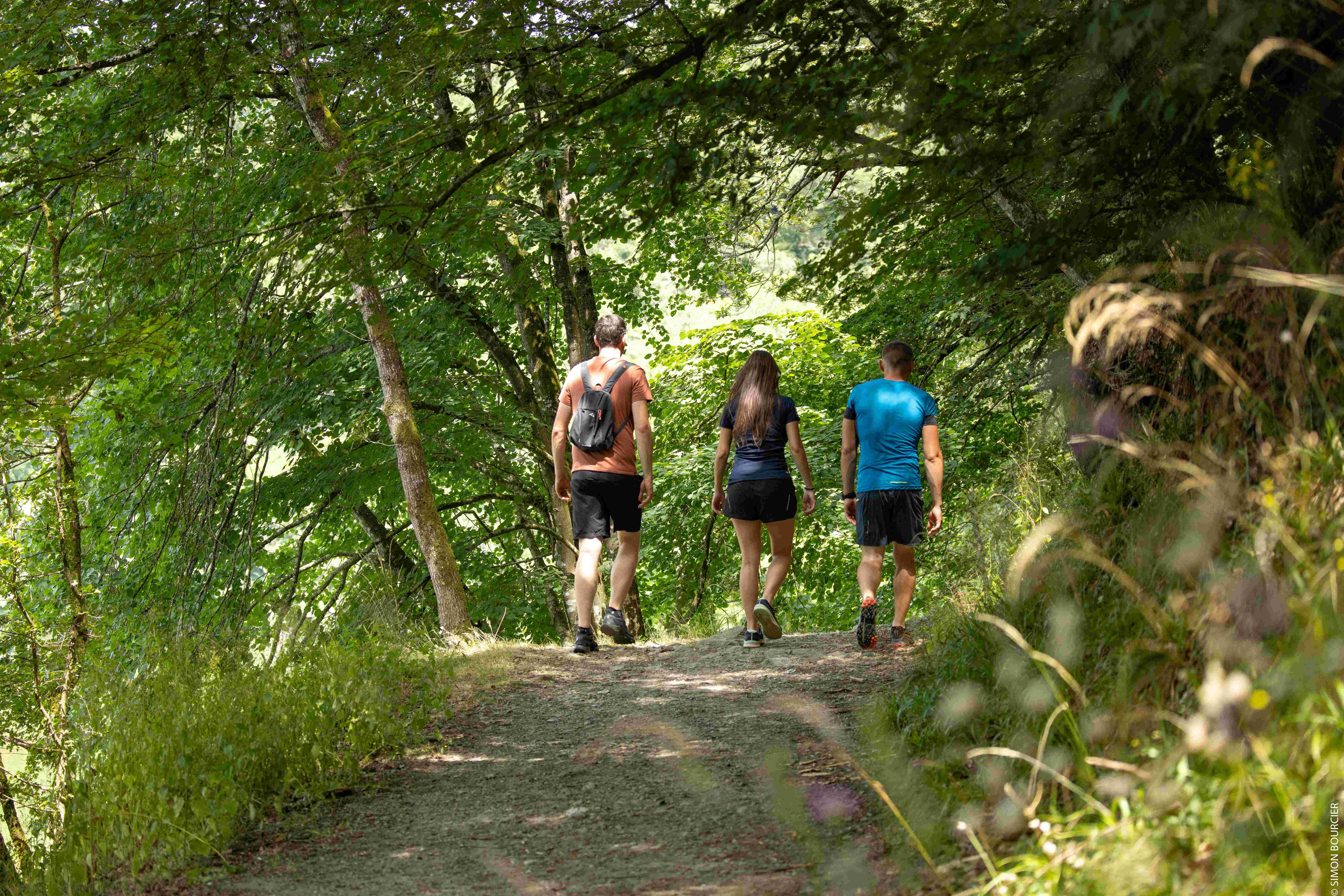 randonnée mervent sentier