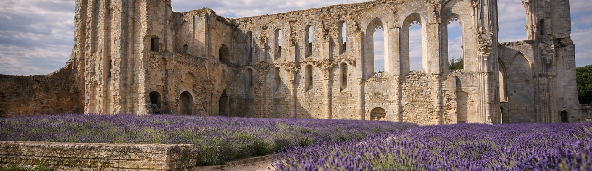 Abbaye de Maillezais (8)