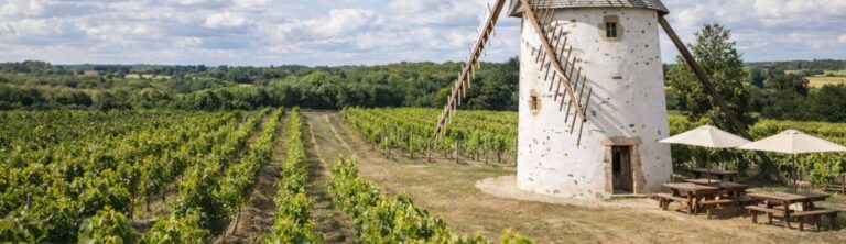 Vignoble Mareuil sur Lay (6)