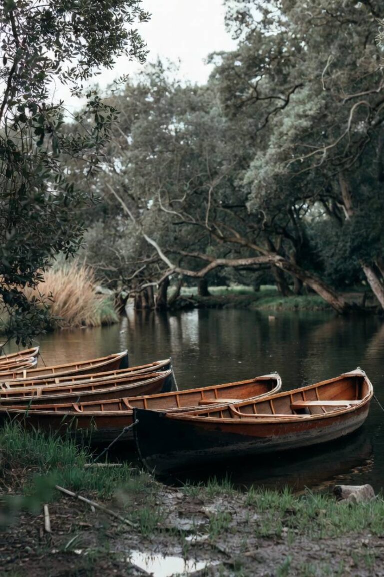 canoë dans le Marais Poitevin